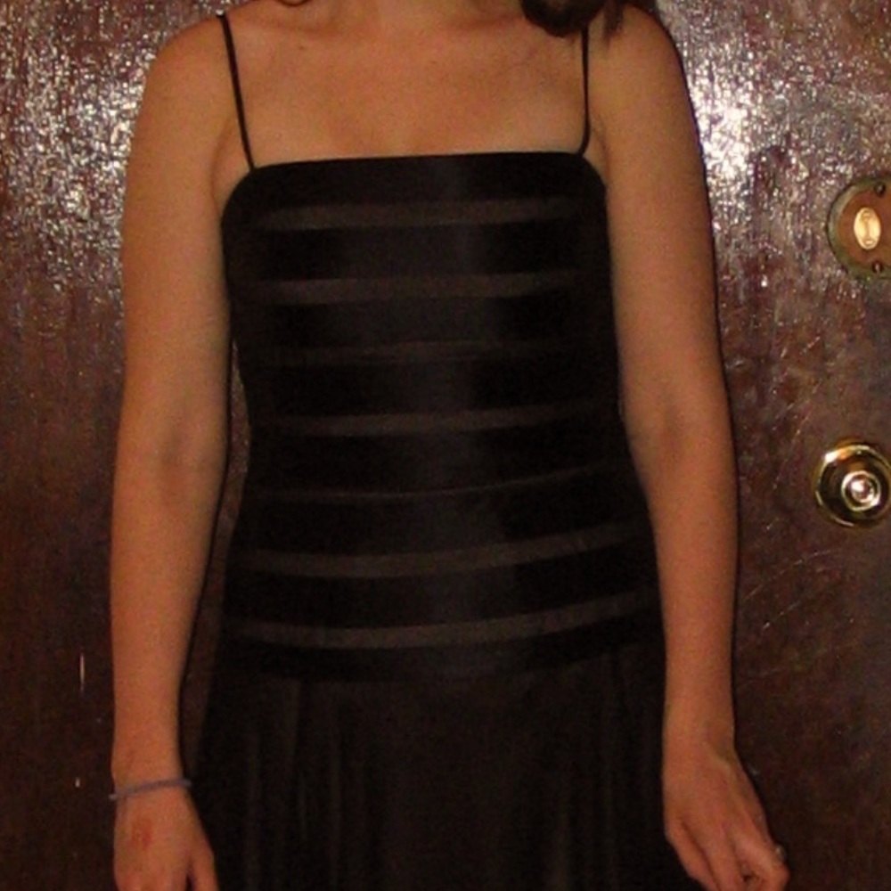 BCBG MaxAzria dress. Boned bodice.